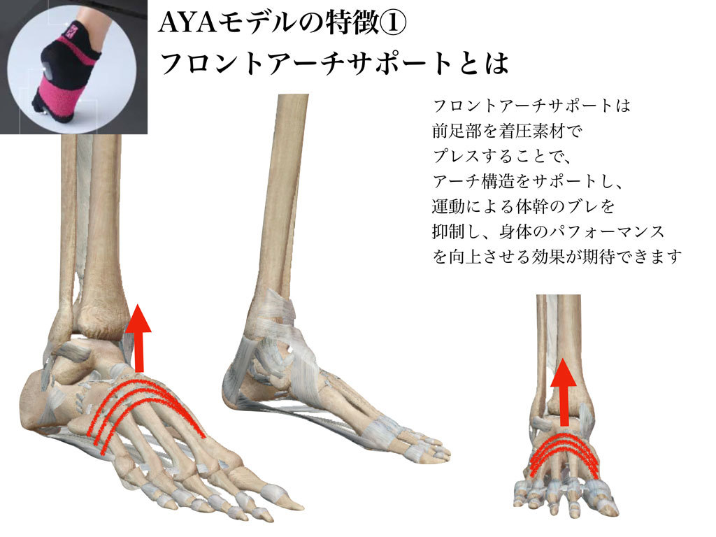 AYA モデルの特徴① フロントサポートどは⁉