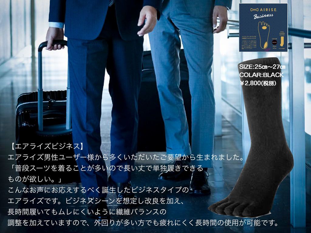 エアライズ ビジネスの説明